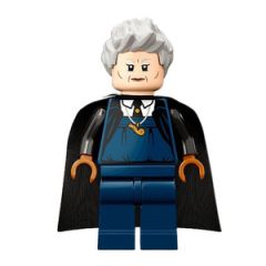 LEGO Madam Hooch Minifigure