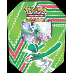 Gallade V Tin - Hidden Potential Fall 2022